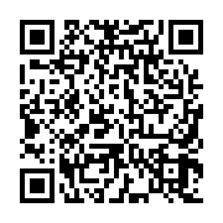 QR code for 0611493