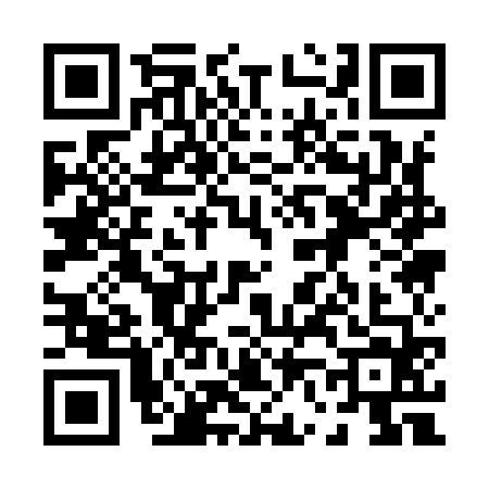 QR code for 0619647