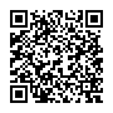 QR code for 0625699