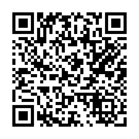 QR code for 063313