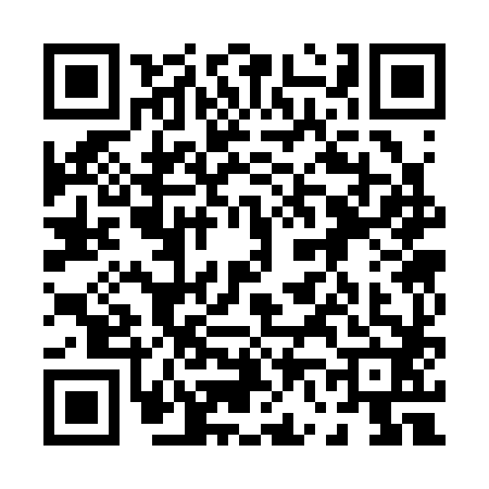 QR code for 0633822