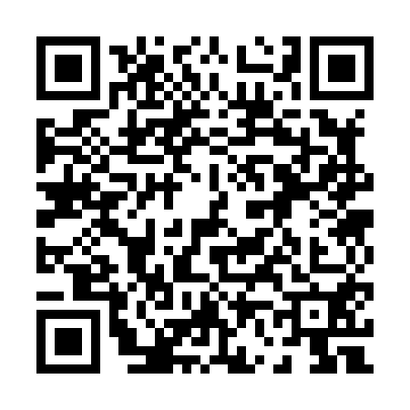 QR code for 0638503