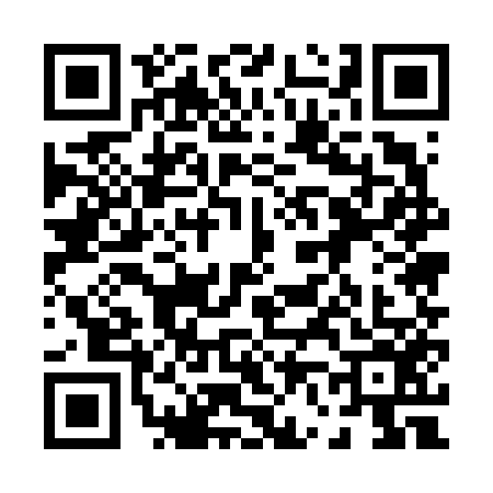 QR code for 0656563