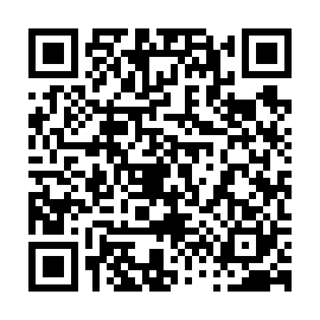 QR code for 0696207