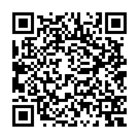 QR code for 0704369