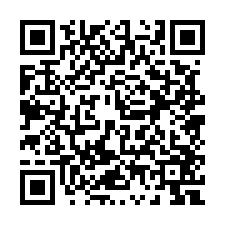 QR code for 0705463