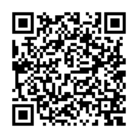 QR code for 0739404