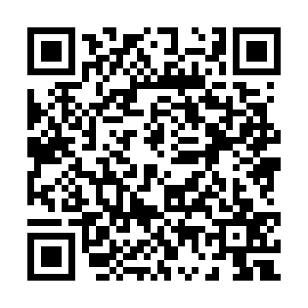 QR code for 0787379