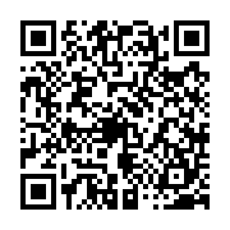 QR code for 0787545