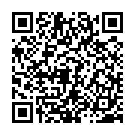 QR code for 0825733