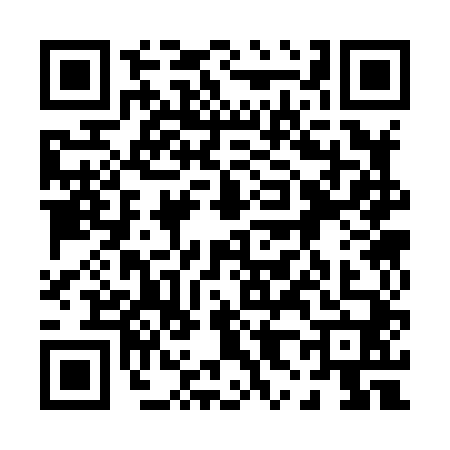 QR code for 0838403