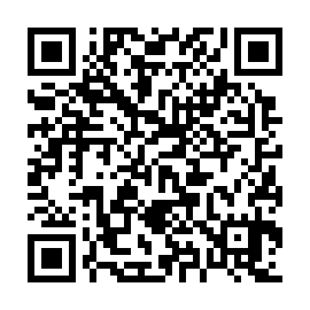 QR code for 096335