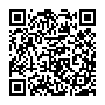 QR code for 100441