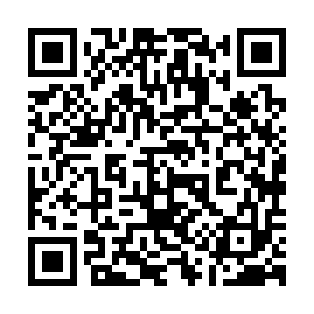 QR code for 118313