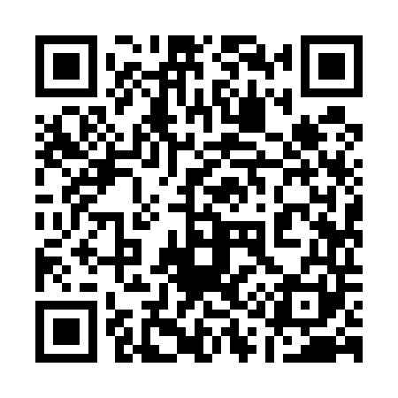 QR code for 119541