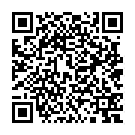 QR code for 1250334