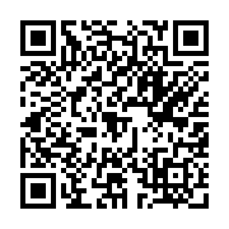 QR code for 1253383