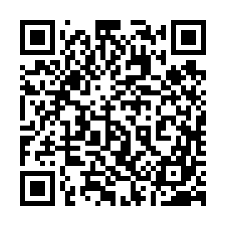 QR code for 132667
