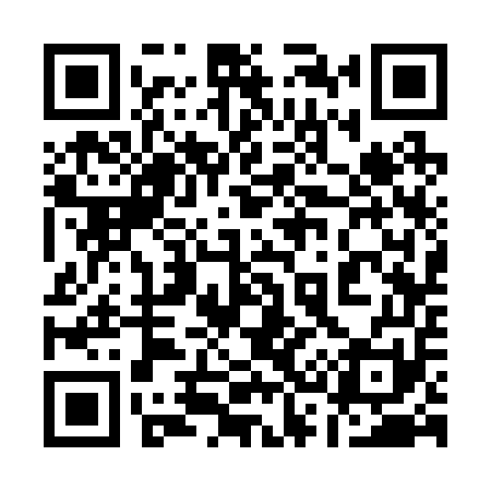 QR code for 133251
