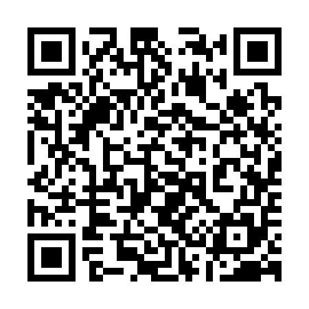 QR code for 133355