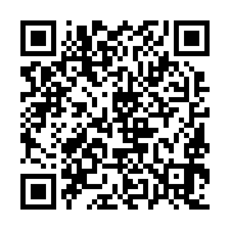 QR code for 155293