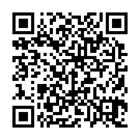 QR code for 161325