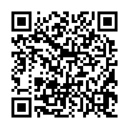 QR code for 165366