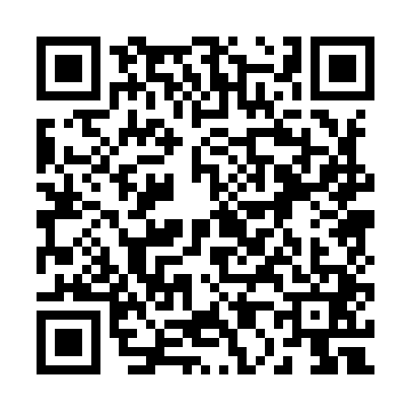 QR code for 2009412