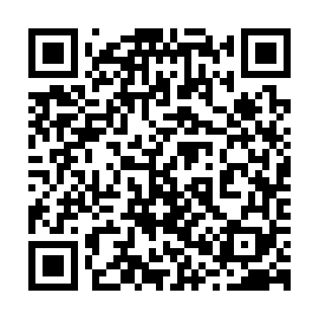QR code for 203369