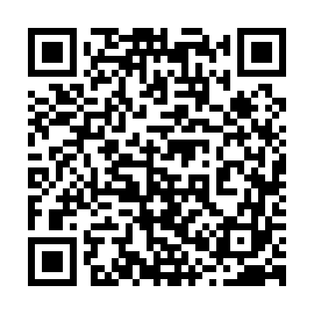 QR code for 206163
