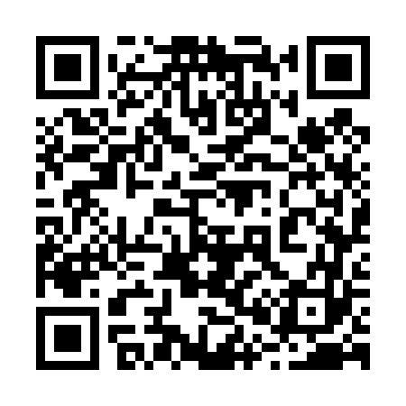 QR code for 207463