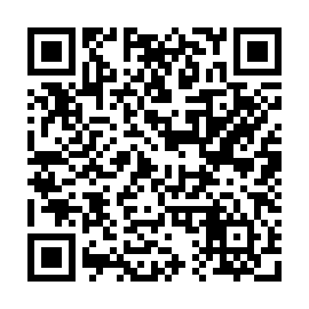 QR code for 213384