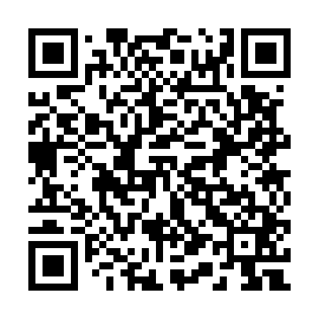 QR code for 213541