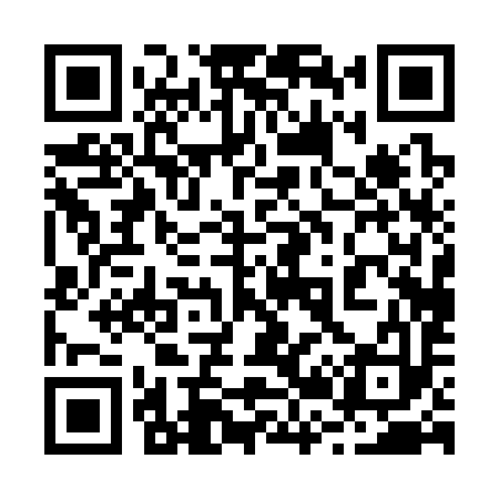 QR code for 220393