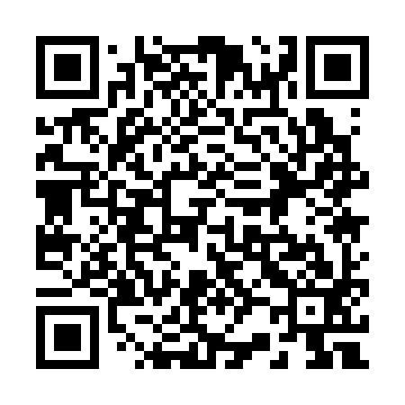 QR code for 221393