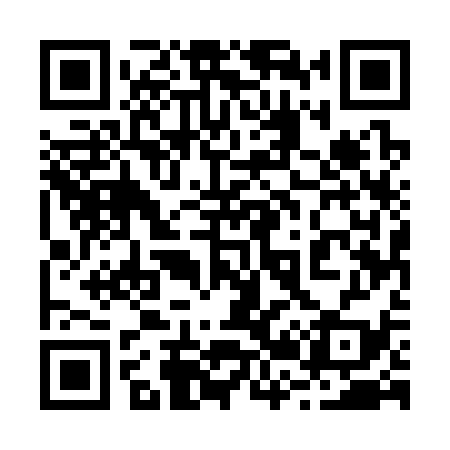 QR code for 225339