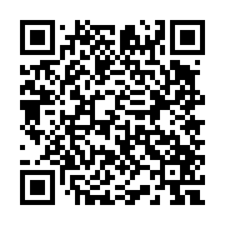 QR code for 225447