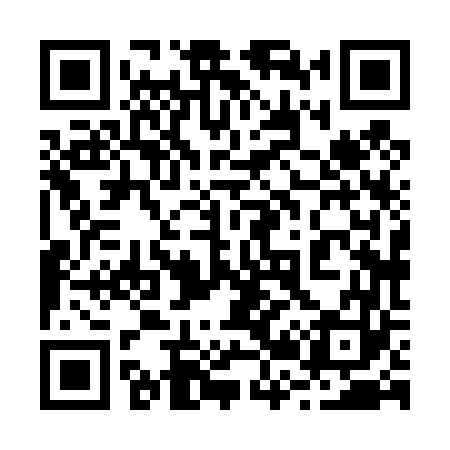 QR code for 228463