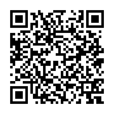 QR code for 2317313
