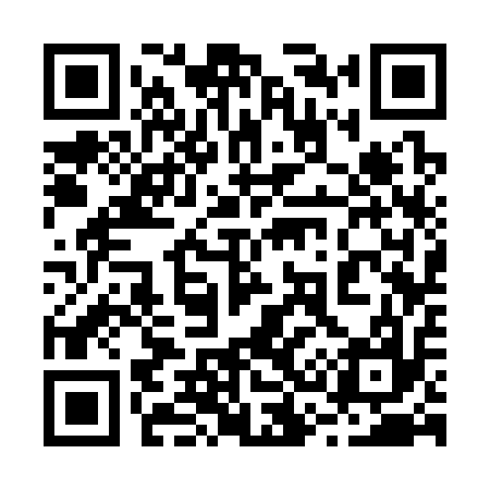 QR code for 233317