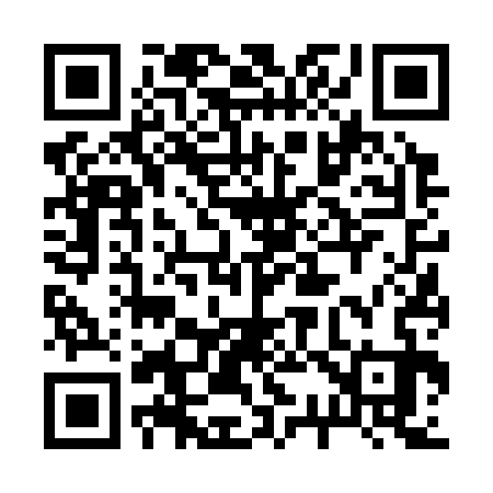 QR code for 236333