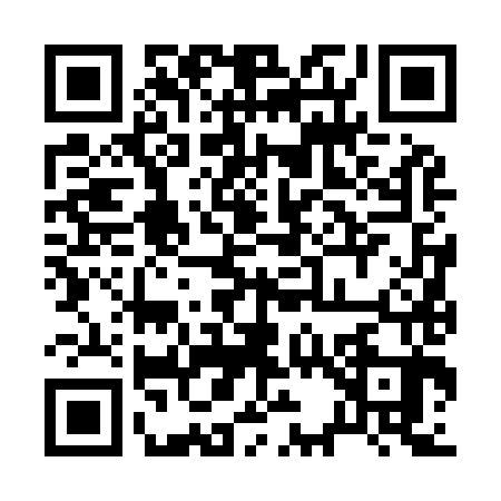 QR code for 2369838