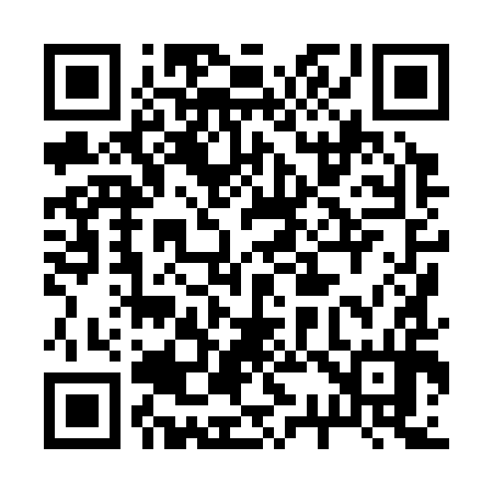 QR code for 238394