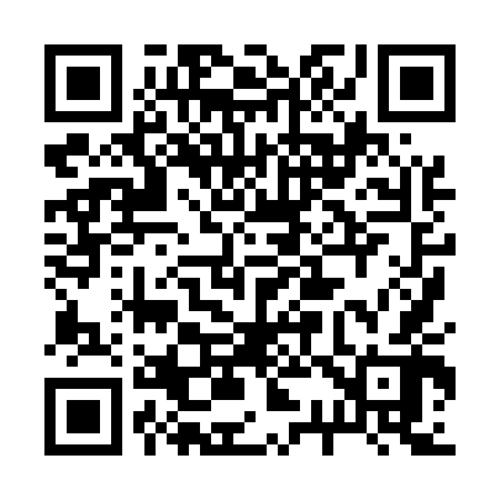 QR code for 238542