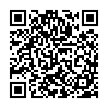 QR code for 238545