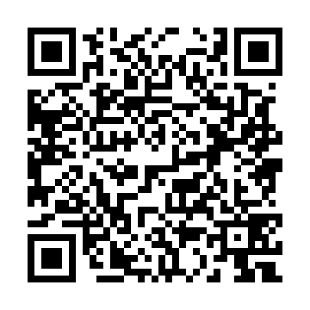 QR code for 2385795