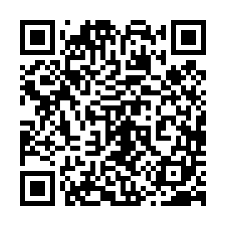 QR code for 250441