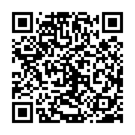 QR code for 250538