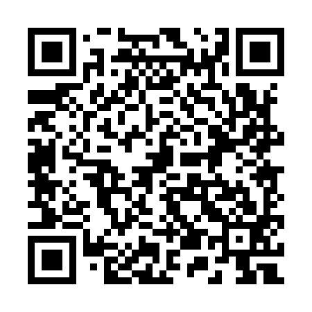 QR code for 250993