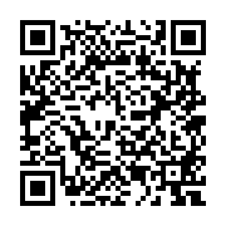 QR code for 2538887